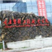 重慶藝術工程職業學院