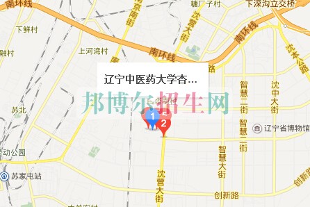 遼寧中醫藥大學杏林學院