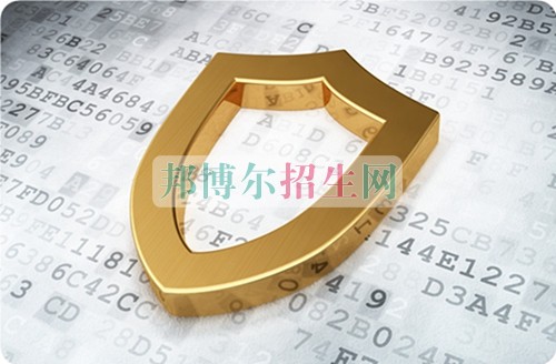 計算機網(wǎng)絡技術理論包括什么