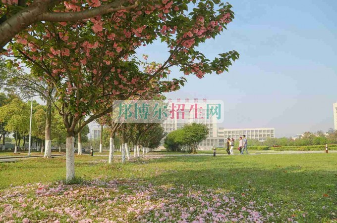 職業學校學校