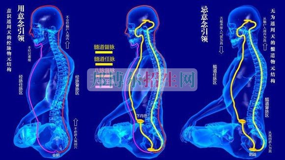 成都中醫學好的大專有哪些