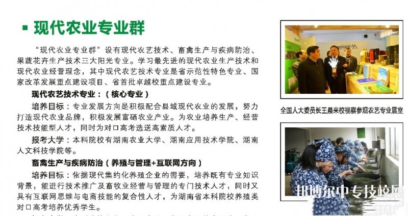 湖南桃花源高級技工學校電子信息專業群介紹