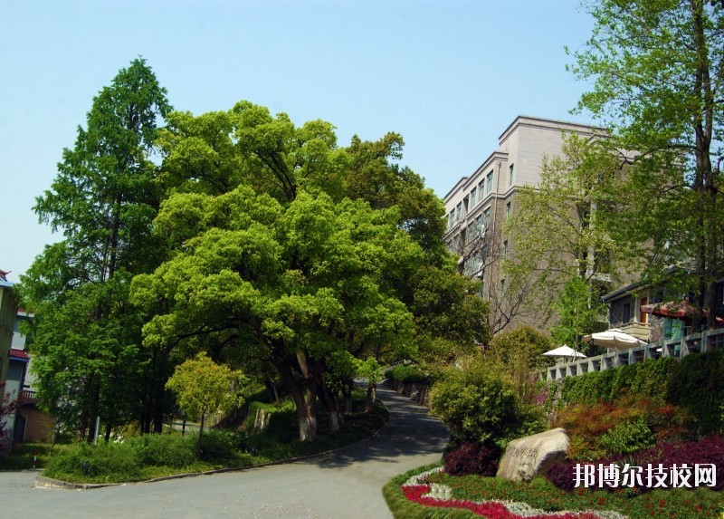 中國美術(shù)學(xué)院附屬中等美術(shù)學(xué)校2020年報(bào)名條件、招生要求、招生對(duì)象