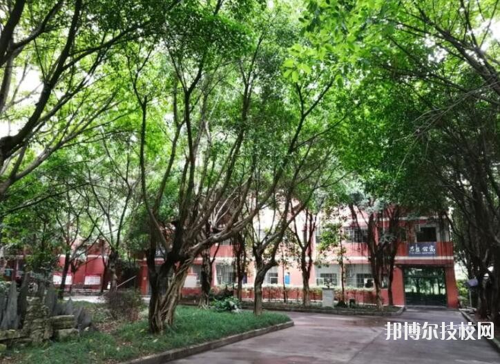 重慶舞蹈學(xué)校2020年報名條件、招生要求、招生對象