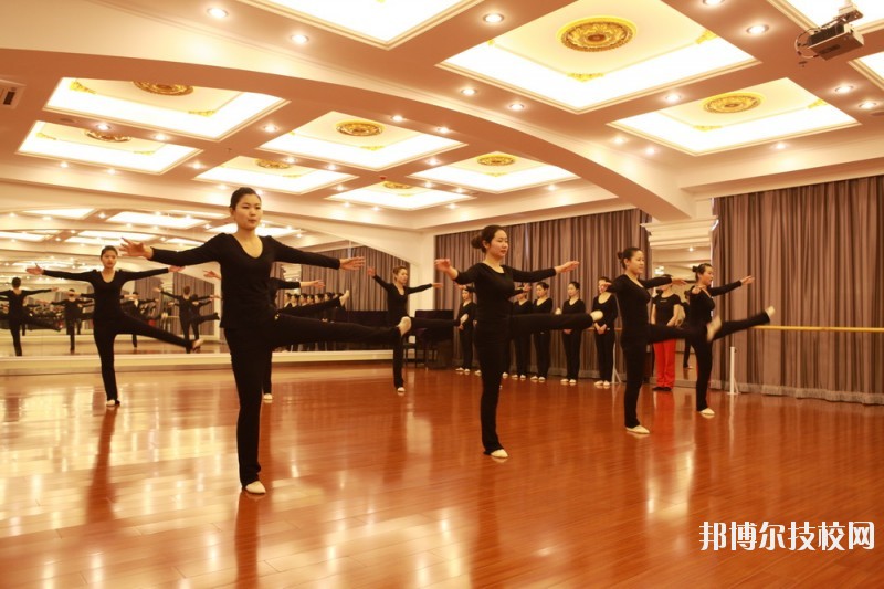 滄州職業(yè)技術(shù)學(xué)院2020年報名條件、招生要求、招生對象