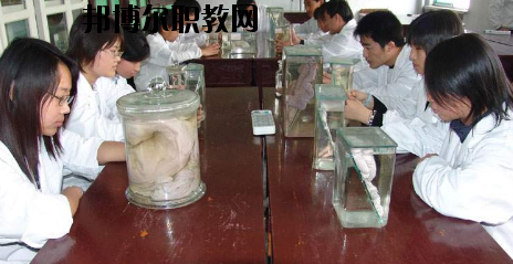 隴南農業學校2020年招生辦聯系電話