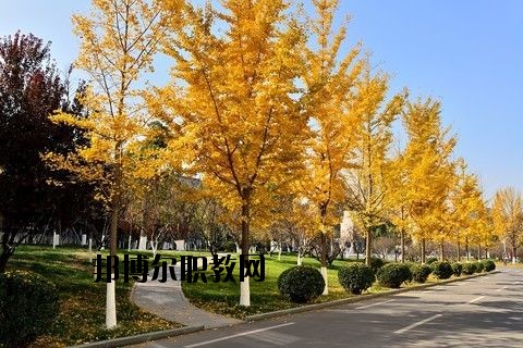 蘄春李時珍中等專業學校怎么樣、好不好