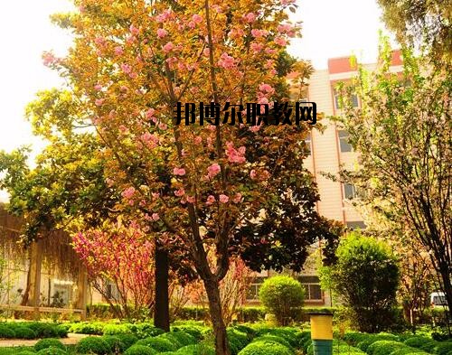 新鄉(xiāng)工業(yè)學(xué)校2021年報名條件、招生對象