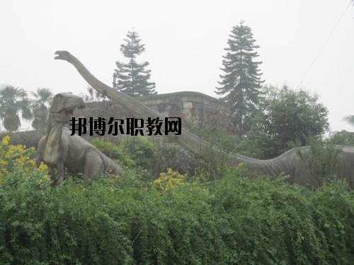 自貢三星職業(yè)技術(shù)學(xué)校2020年報名條件、招生要求、招生對象