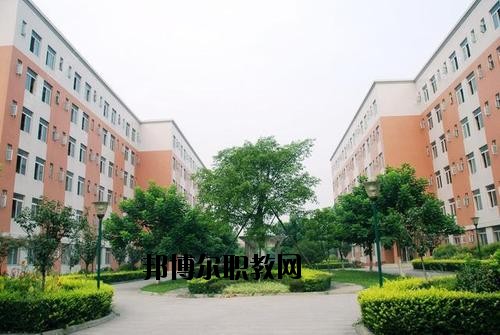 成都信息工程職業(yè)技術(shù)學(xué)校2020年報名條件、招生要求、招生對象