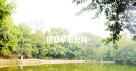 崇左八桂城市中等職業(yè)技術(shù)學(xué)校怎么樣、好不好