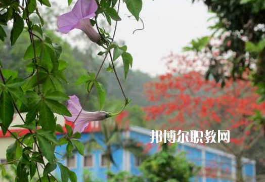 廣東省理工職業(yè)技術學校2020年招生辦聯系電話