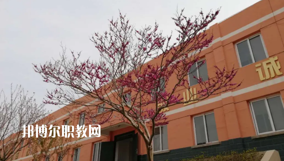 成縣化埡農職業中學怎么樣、好不好
