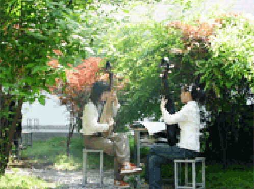 蘇州評(píng)彈學(xué)校2021年報(bào)名條件、招生要求、招生對(duì)象