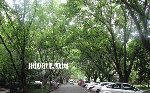 重慶2021年中專學?？梢钥即髮W嗎