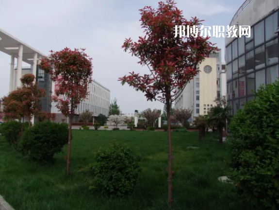 陳倉區職業教育中心2022年有哪些專業