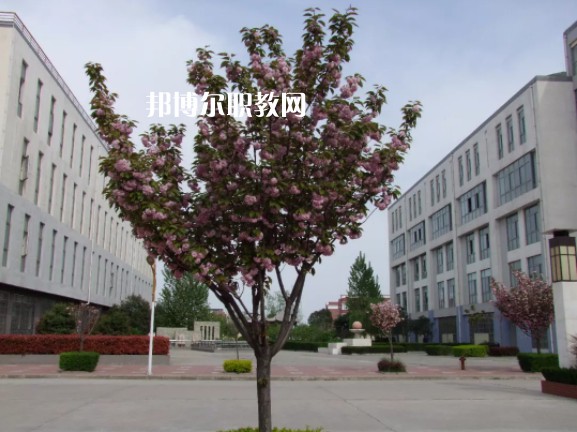 陳倉區(qū)職業(yè)教育中心2022年報名條件、招生要求、招生對象