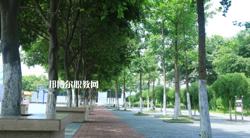 樂山計算機學校怎么樣、好不好