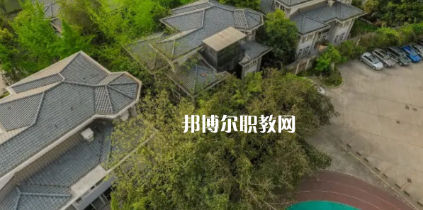 成都文化藝術學校網站網址
