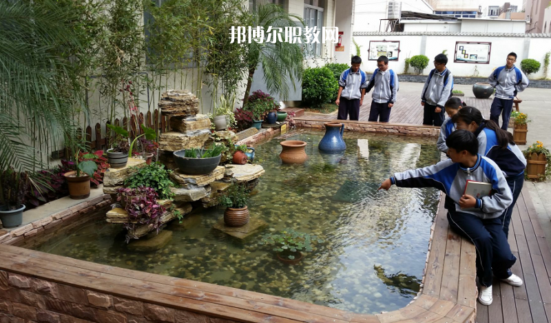 龍灣區職業技術學校教育集團2022年報名條件、招生要求、招生對象