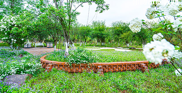 重慶望江技工學(xué)校地址在哪里，哪個地區(qū)，哪個城市?