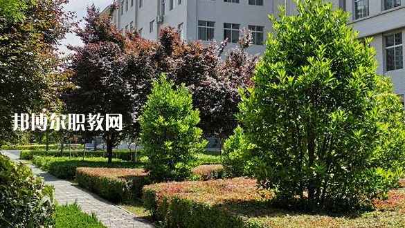 2023渭南技師學(xué)院招生計(jì)劃 招生人數(shù)是多少(附要求、條件、對(duì)象)