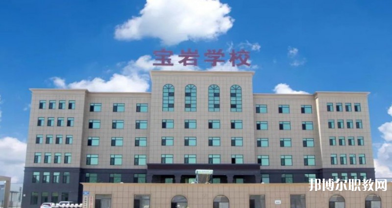 2025沈陽(yáng)寶巖藝術(shù)學(xué)校招生計(jì)劃 招生人數(shù)是多少(附要求、條件、對(duì)象)