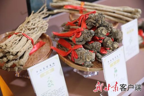 先睹為快 | 第三十屆蘭洽會(huì)生物醫(yī)藥館布展工作圓滿完成，生物制品領(lǐng)域亮點(diǎn)紛呈